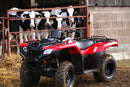 Honda TRX420 FA2 - Fourtrax DCT PS 2-4wd