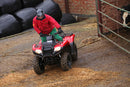 Honda TRX420 FA2 - Fourtrax DCT PS 2-4wd